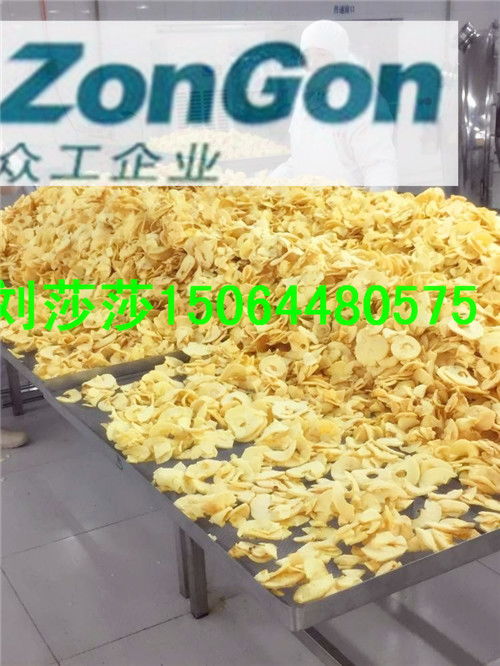 諸城眾工機械 專業供應菠蘿蜜膨化設備與技術轉讓，助力產業升級