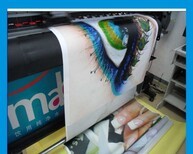 黃陂區噴繪寫真與數字廣告制作 技術與服務的完美結合